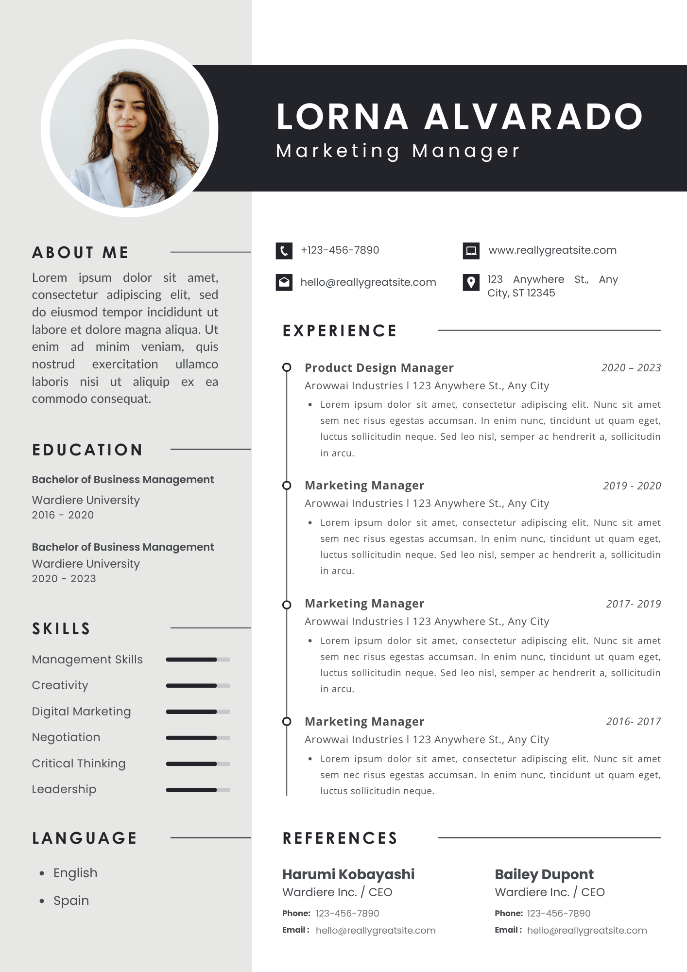 Modern CV Design